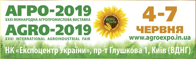 2019.jpg