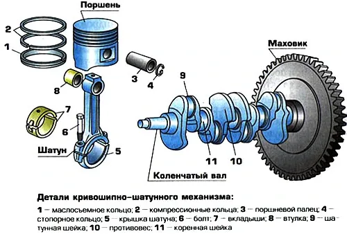 2_15.jpg