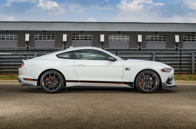 new_mustang_2.jpg