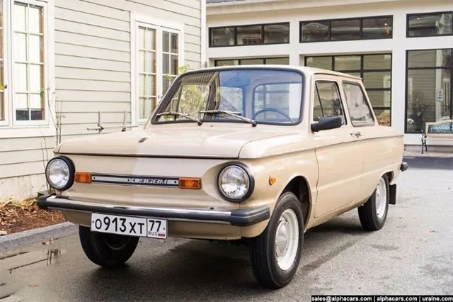 zaz968-2.jpg