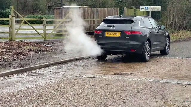 jaguar-water-2.jpg