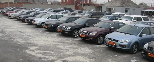 bu.jpg
