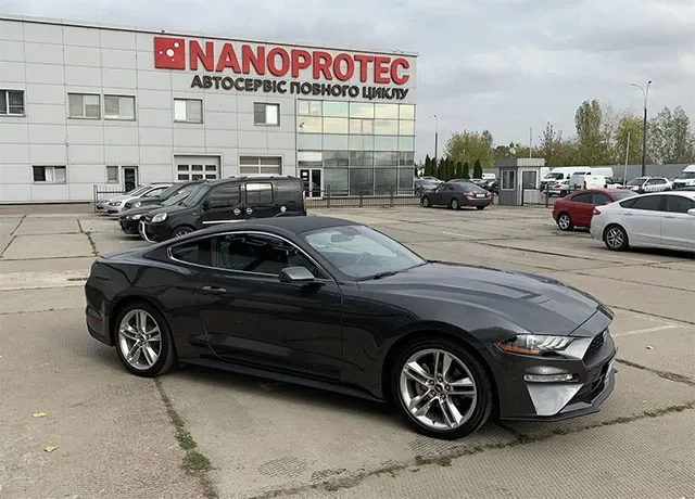mustang1.jpg