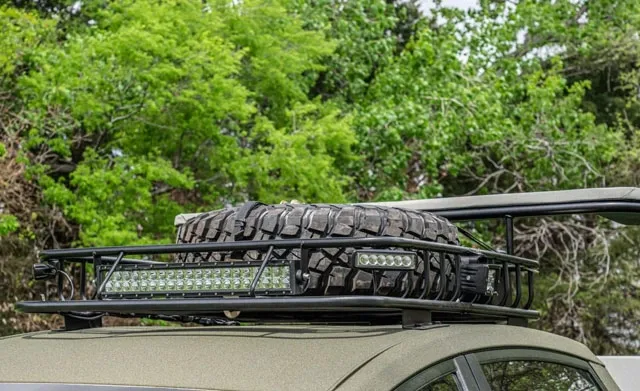 Predator-Prius-4.jpg