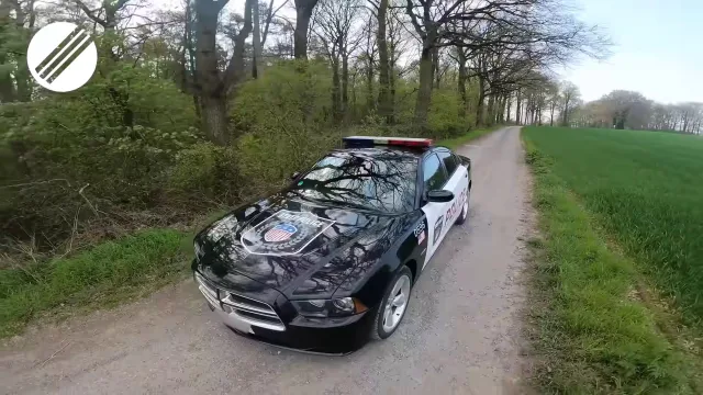 police-car-2.jpg