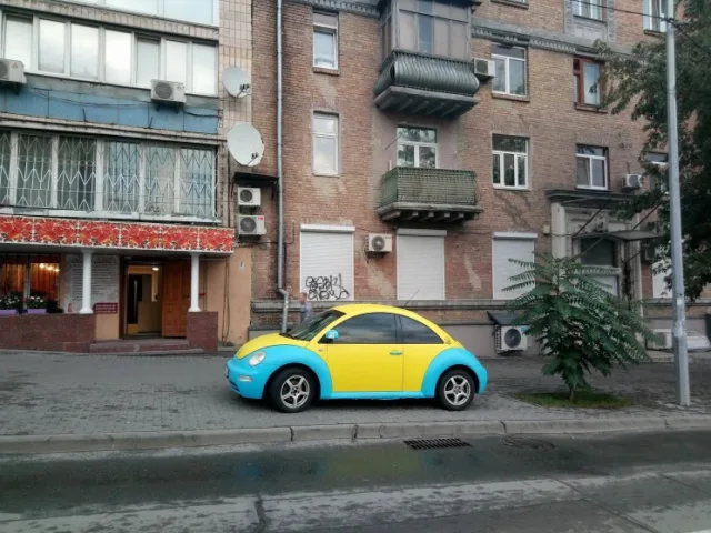 303565.jpg