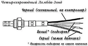 images?q=tbn:ANd9GcTFIVMy9J5s8R_OCiDh2kQYzHpAXci9WPzzRw&s