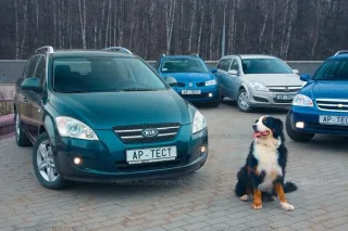 Choosing a Greater Swiss Mountain Dog. Chevrolet Lacetti Station Wagon, Kia cee'd Sporty Wagon, Opel Astra Caravan and Renault Megane Estate