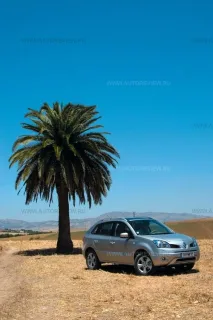 Firstborn. Family Renault Koleos