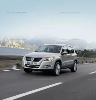 Калужский волк. Volkswagen Tiguan