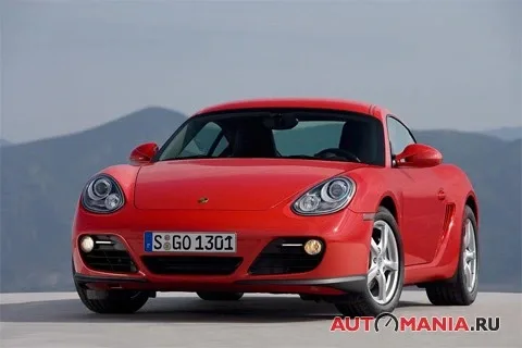 Porsche Cayman. Млекопитающее.