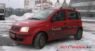 Fiat Panda. Польский медвежонок.