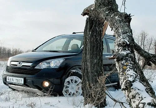 Honda CR-V | ГЕН ТАКСОНОГОСТІ