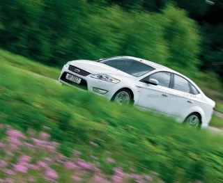 Важкий міст. Citroen C5, Ford Mondeo, Volkswagen Passat