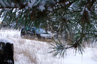 Дневник Honda Pilot, или Новогодняя сказка