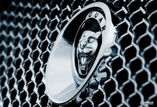 Jaguar XF: Xtra Fitness