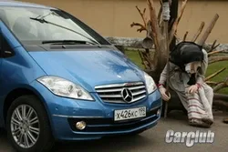 test-drive-14.jpg