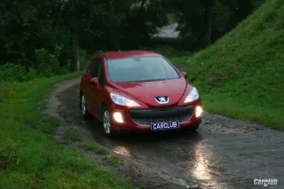 Peugeot 308: Недамский угодник