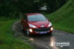 Peugeot 308: Недамский угодник