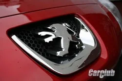 Peugeot 308: Недамский угодник