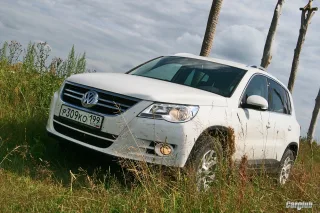 Volkswagen Tiguan: Чудеса Генетики