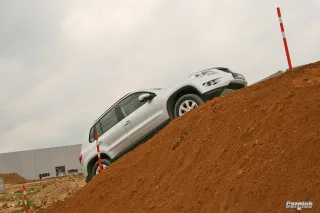 Volkswagen Tiguan: Чудеса Генетики