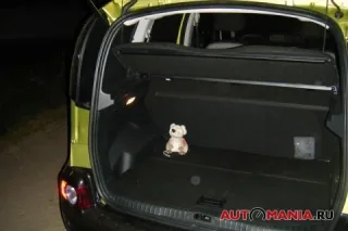 Citroen С3 Picasso. Лимонний Хорь.