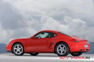 Porsche Cayman. Млекопитающее.