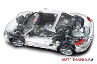 Porsche Cayman. Млекопитающее.