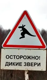 test-drive-11.jpg