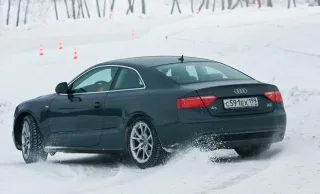 Audi A5 та Audi TTS.
