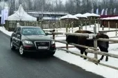 test-drive-0.jpg