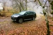 Вівця Доллі
