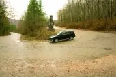 Вівця Доллі
