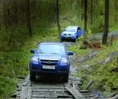 Similar but different