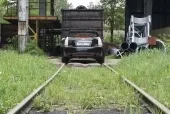 Iron Woodcutter