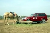 Хибна тривога