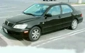 Волчья шкура