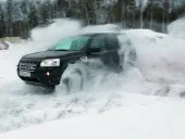 Він і вона