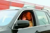test-drive-3.jpg