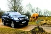 test-drive-0.jpg