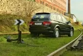 Європейський кореєць