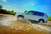 Консервація успіху
