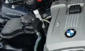 Главная среди первых