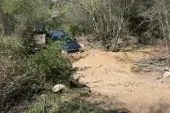 Modest Grand