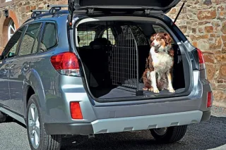 Новый Subaru Outback