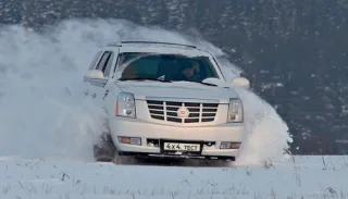 Audi Q7 против Cadillac Escalade
