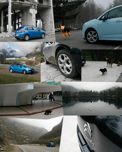 test-drive-31.jpg