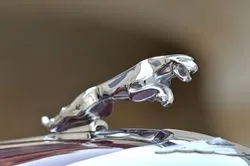 test-drive-2.jpg