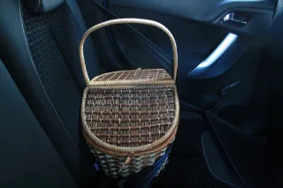 Citroen C3: Сонце в Zenith’ї
